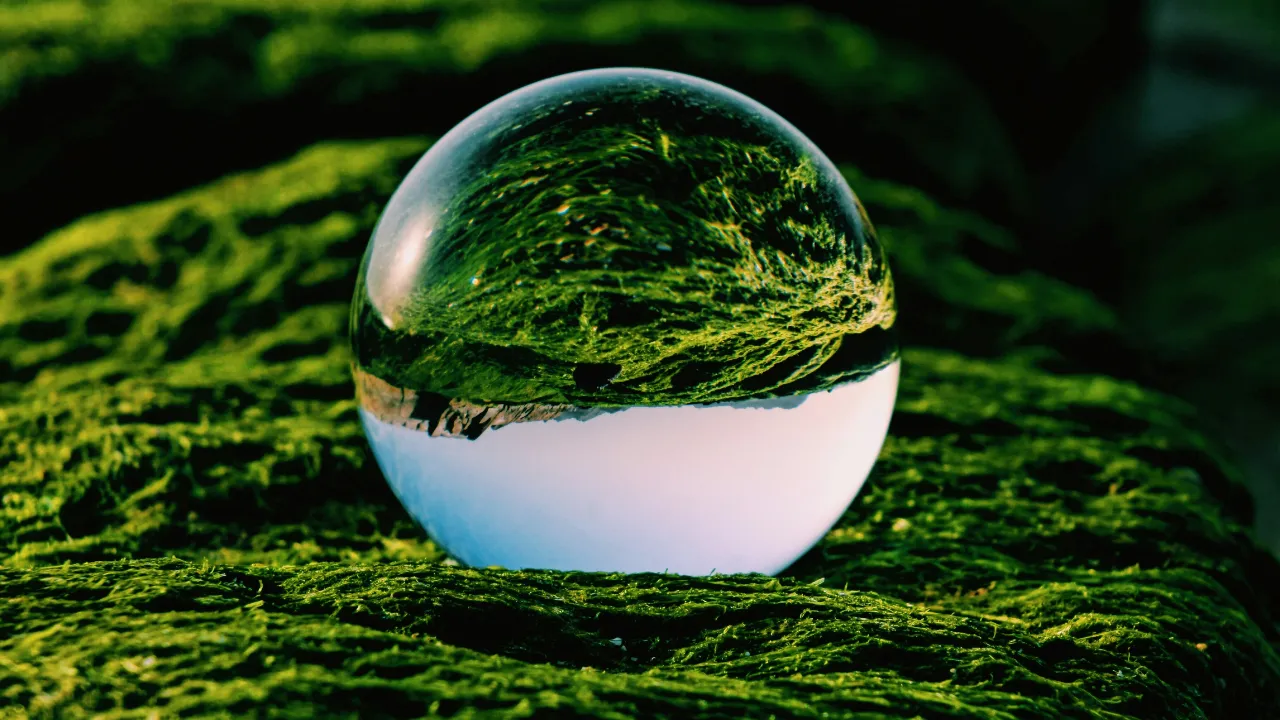 Impact Investing Schweiz: Wie Sie Rendite und Wirkung vereinen