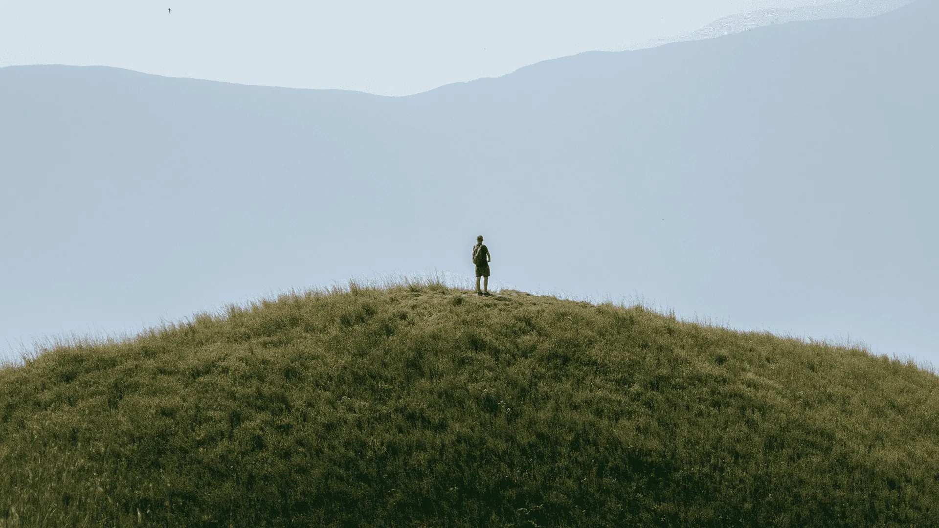 Le marché en un coup d'œil:  On se sent seul au sommet