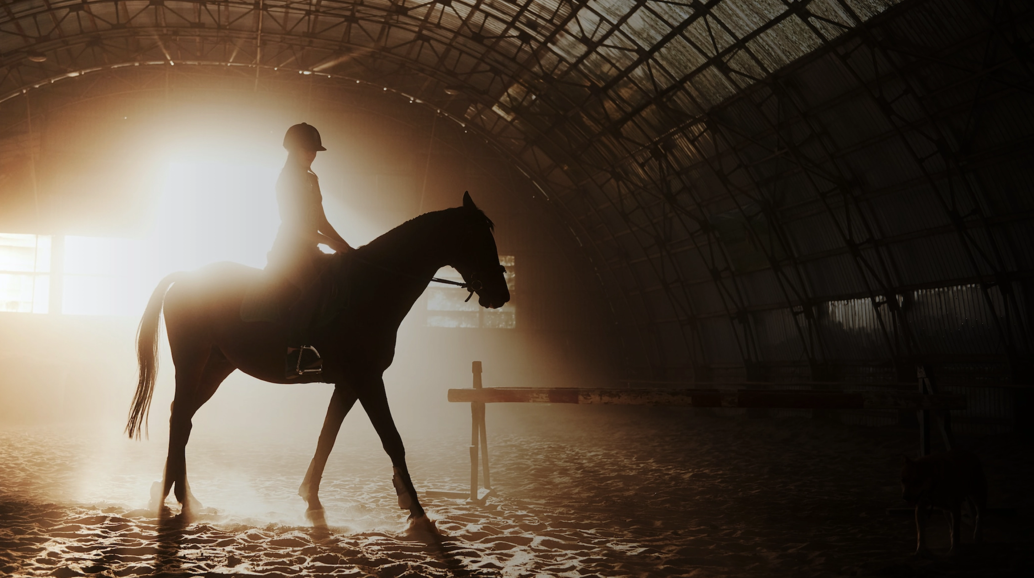 Gallop ahead on your wealth journey